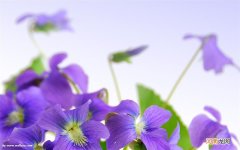 晚上用水乳吗？白天护肤步骤和晚上一样吗 晚上洗脸护肤的正确步骤顺序
