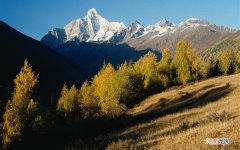 安然钻石纳米是传销组织吗 安然纳米护膝多少钱一对