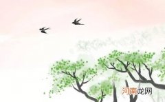 翔字的最佳公司名又顺利又有财气的公司名字