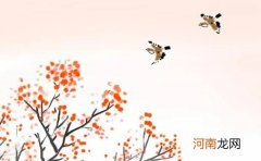 华字开头的公司名字大全带华字的吉利企业名字