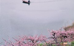 盒装牛奶的营养价值 牛奶属于健康的营养品吗