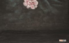 请女生吃饭吃什么 和女生约会吃饭吃什么