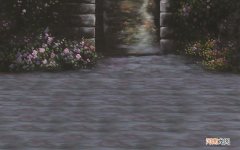 生姜泡蜂蜜水的喝法有什么作用 生姜加蜂蜜能减大肚子吗
