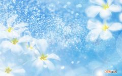 柚子可以和梨一起煮糖水吗 润肺止咳糖水
