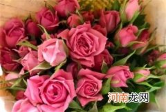 粉玫瑰适合送什么人