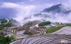 河蟹和什么不能同食 吃大闸蟹能吃橘子吗