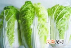 大白菜的食疗功效及食用禁忌