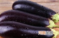 茄子吃不完可以冷冻保存吗