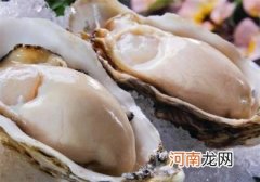 好吃的牡蛎的营养价值与功效