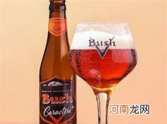 啤酒的种类知多少