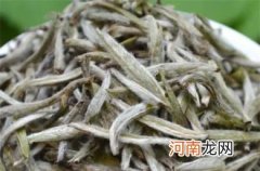 白毫银针为什么不建议存放