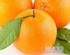 橙子全身都是宝有哪些效果