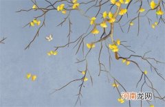 个体户名字吉凶查询 个体户名称大全推荐三个字
