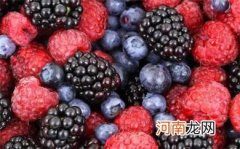 细数眼睛最爱的七大营养