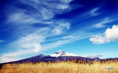 碎银子适合什么季节喝 冬天春天喝什么茶