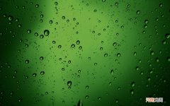 美事达美极鲜酱油好吗 美极鲜酱油