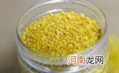 蜂花粉的功效与作用及食用方法