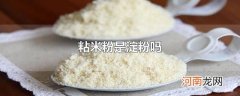 粘米粉是淀粉吗