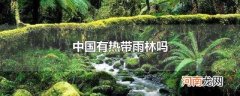 中国有热带雨林吗