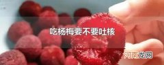 吃杨梅要不要吐核