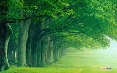 为什么现在hpv那么容易传染 医生说hpv高危不传染