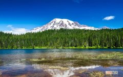 济南比较好的中医在哪家医院 微信国医堂中医馆是真的吗