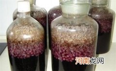 葡萄酒的制作方法步骤
