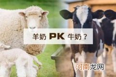 牛奶和羊奶哪个更好呢？