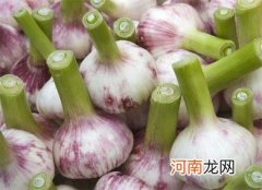 大蒜三类人不宜吃