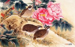 给55岁的妈妈买什么护肤品 五十岁用什么美白护肤品