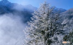瘦人如何穿衣服才好看 瘦人天生平胸 怎么办