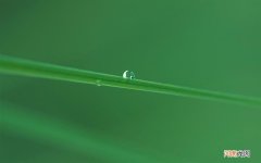 激光祛斑皮肤多久能恢复 几月份激光祛斑最合适