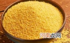 什么是粟米呢