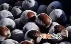 冻梨化了怎么保存