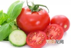 最有营养的10种食材