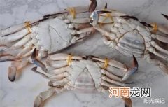 梭子蟹买公的好还是母的好