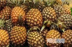 挑选出好吃的菠萝方法
