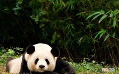 养生会所忙碌中朋友圈文案短句 做spa的句子