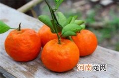 吃橘子好处和注意事项