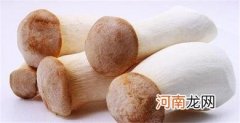 吃杏鲍菇的注意事项