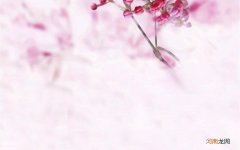 湿性坏疽读音 下肢湿性坏疽如何护理
