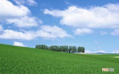 预防传染病 预防夏季常见传染病宣传稿