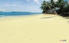 10种无糖水果 水果含糖量排名一览表