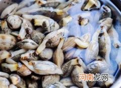 花蛤放了一夜吐舌头能吃吗