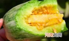 羊角蜜大的好吃还是小的好吃