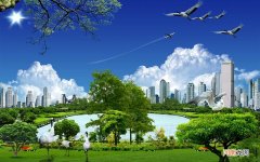 蜂蜜能用开水泡吗 晚上喝蜂蜜水怎么冲