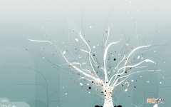 如何让女人补铁补血更充分 贫血吃什么补血最快女