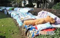 怎么去除卧室里的蟑螂