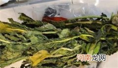 萝卜的叶子能吃吗