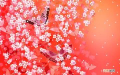 宝宝感冒可以吃水果吗 小孩感冒能吃芒果吗